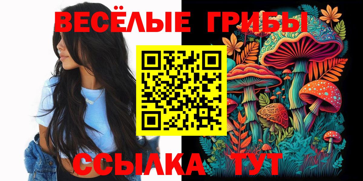 Туймазы  Псилоцибиновые грибы прущие грибы  Псилоцибиновые грибы Psilocybe  Вход с VPN 